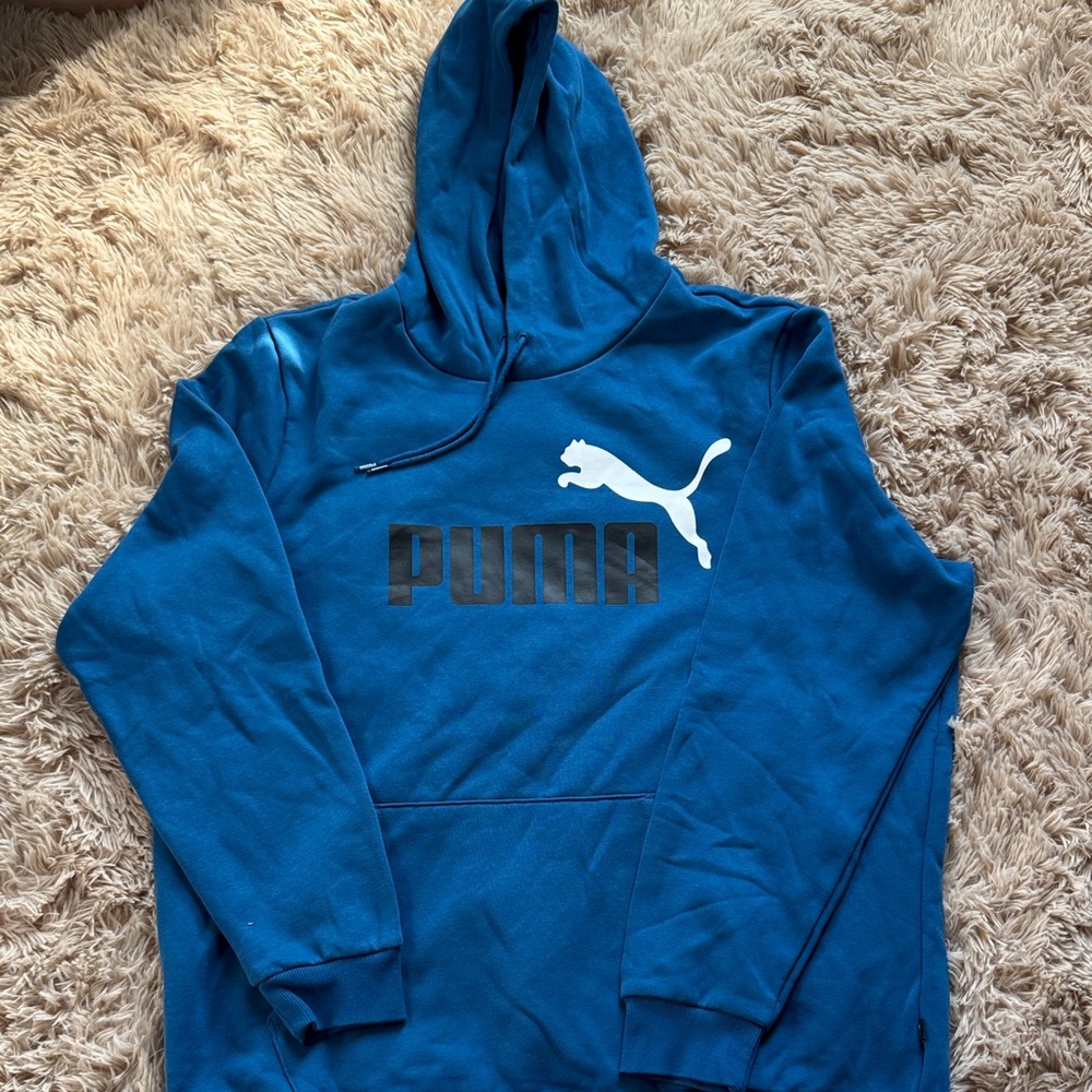 PUMA Men's Teal Hoodie Sweater